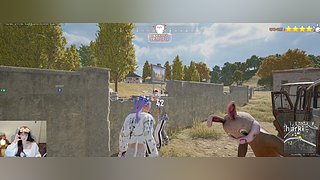 双倍❤️猪皮冻来咯~