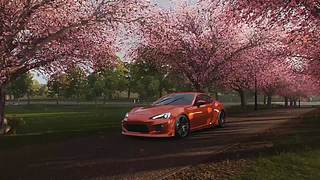 风景-----马拉松