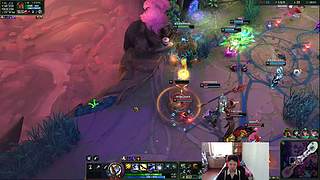 我是小甜椒的狗