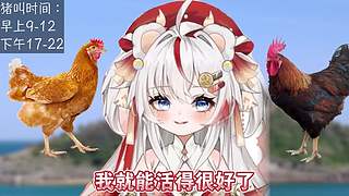 下午17点开始活动