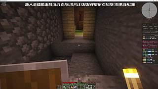 MC，OW，瓦以及各种单机随机播！