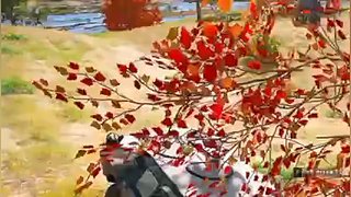 秀气哒哒的直播间