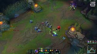 豹子中单是一种艺术丶