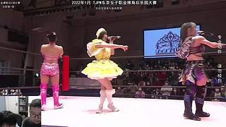 【聊天室】日本女子摔角
