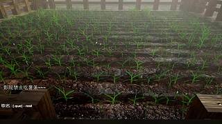 电影级画质，睡眠直播。~