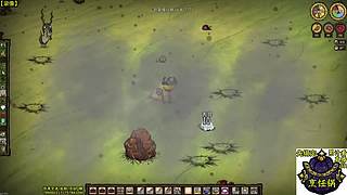 13号饥荒更新 饥荒小明鸽i