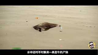 郭云神奇的神奇解说