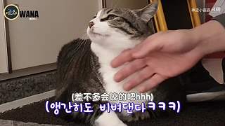 神迹小霸霸的直播间