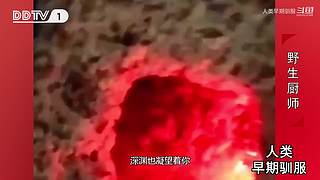 魏蜀吴群雄争霸，发弹幕加入国战