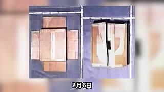 【悬疑】古今中外犯罪录