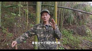 娱乐大于一切 10440627