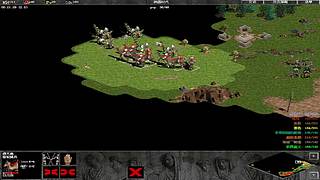 海鸟海运的直播间