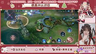 广东省佛山市第一百王昭君