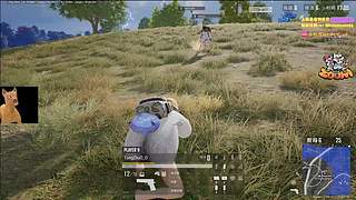 【小白鸽】晚上轰炸机ovo