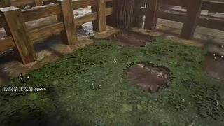 电影级画质，睡眠直播。~