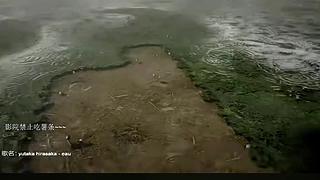 电影级画质，睡眠直播。~