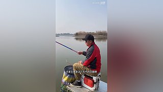 亮gnailux的直播间