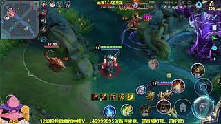 射手排位，本人播，教你中期思路！