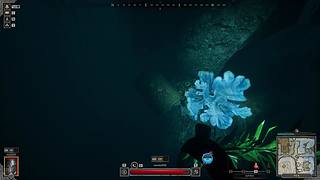 随便玩玩吧 8012902