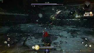 阿飞）游戏技术大师速通仁王