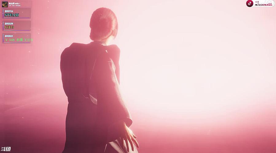 战国妖魔武士传：仁王3