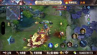 08天才打野 帮打上车有位置