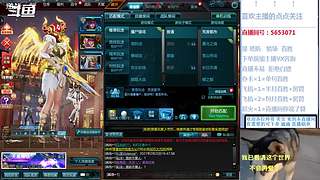 线索海拉 深渊 补分 猎场 等等