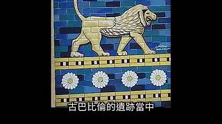 伴你入梦的娱乐科普