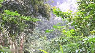 荒野求生，带大家体验不一样的生活