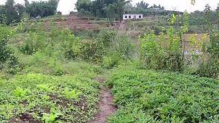 生蚝还可以这样吃