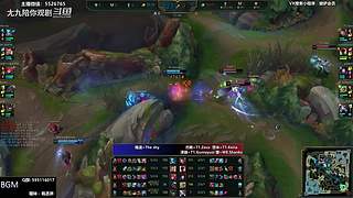 各种精彩视频！