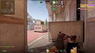 【小白鸽】崔崔来啦 进来助力观时！！