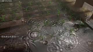 电影级画质，失眠者福音~