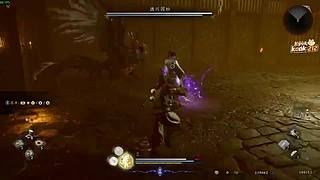 阿飞）游戏技术大师速通仁王