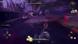 阿飞）游戏技术大师速通仁王