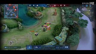 王者荣耀高端王者局