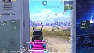 和平精英上分 10407550