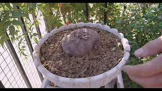 娱乐大于一切 10440627