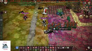 周五更新！带带主播吧！