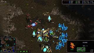 大风车203的直播间