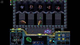 用户017366563的直播间