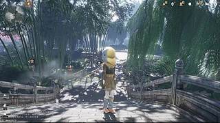 娱乐一下而已 12300064