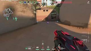 乌鸦乌云的直播间