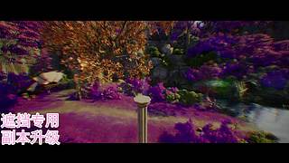 【常乐】天族护法星打本DD