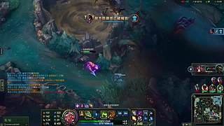 万场辅助豹..SZ_8652