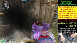 英雄扩展卷/神威/白虎/通行证/专业十年