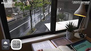 重生之奋发涂墙