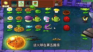 宝子们，开席了！