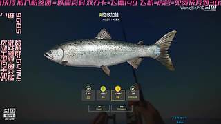 南有邓刚 北有小王 找钓友一起