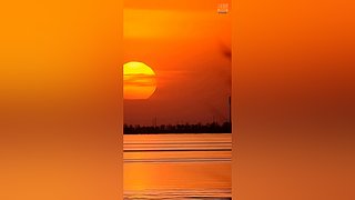 惊诧的海胆的直播间